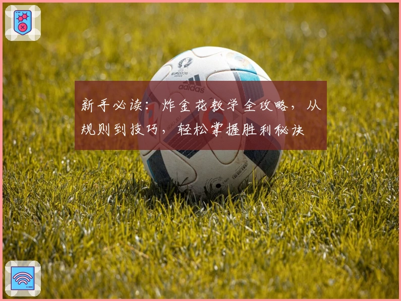 新手必读：炸金花教学全攻略，从规则到技巧，轻松掌握胜利秘诀