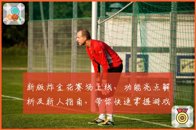 新版炸金花赛场上线,功能亮点解析及新人指南,带你快速掌握游戏技巧