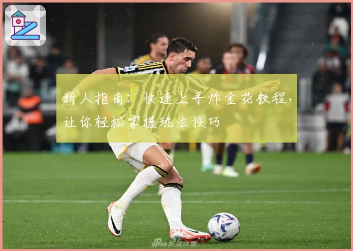 新人指南：快速上手炸金花教程，让你轻松掌握玩法技巧