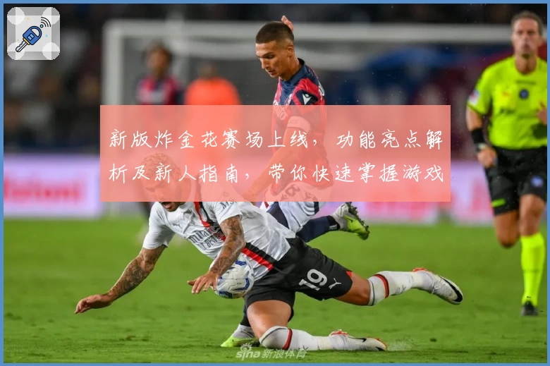 新版炸金花赛场上线,功能亮点解析及新人指南,带你快速掌握游戏技巧