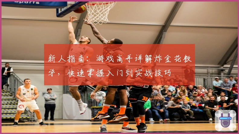 新人指南:游戏高手详解炸金花教学,快速掌握入门到实战技巧