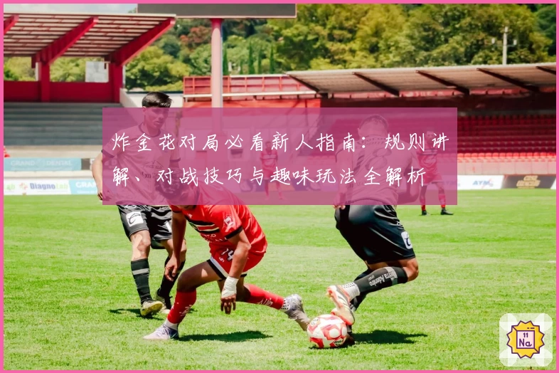 炸金花对局必看新人指南：规则讲解、对战技巧与趣味玩法全解析