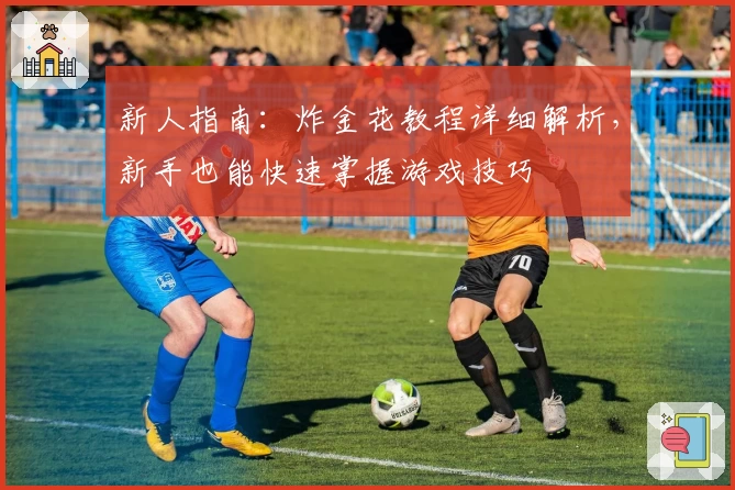 新人指南:炸金花教程详细解析,新手也能快速掌握游戏技巧